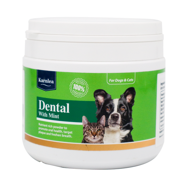 A white 200g container of KarnLea Dental with Mint Powder for dogs and cats, shown with cat and dog images on a green label. This natural supplement supports oral health and fresh breath using seaweed peppermint.