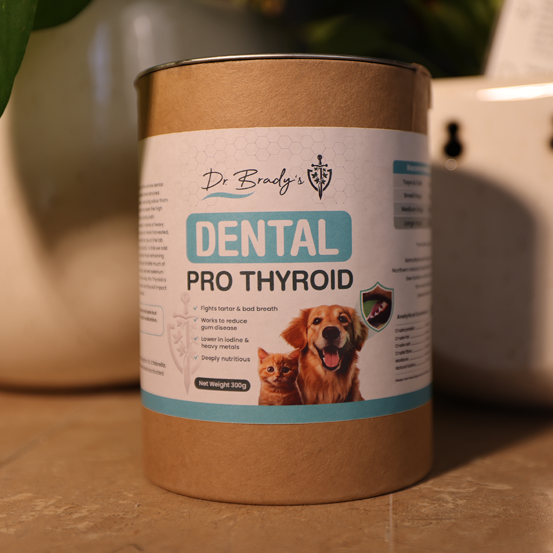 Dr. Brady's Dental Pro Thyroid