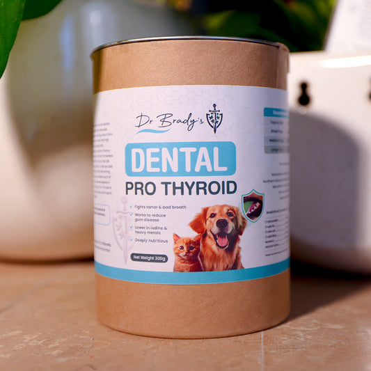 Dr. Brady's Dental Pro Thyroid