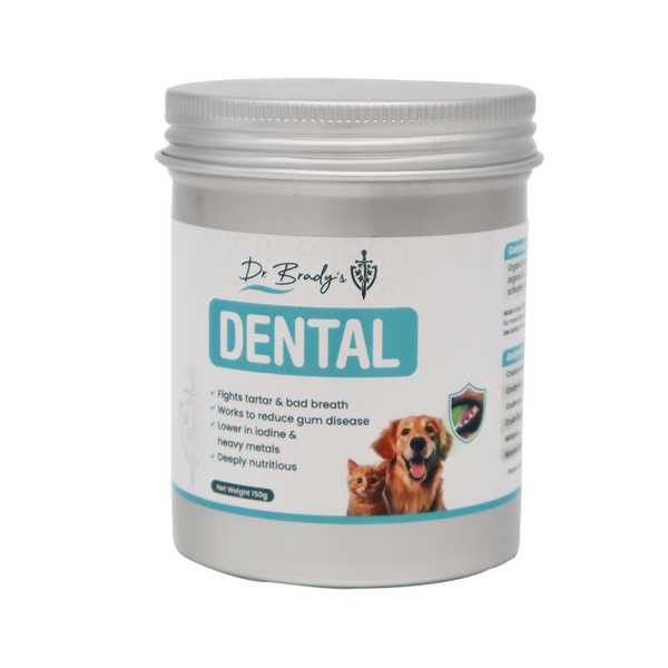 ドッグフード danshari55 Dr. Brady's Dental Pro Thyroid – Dr. Judy Morgan's Naturally