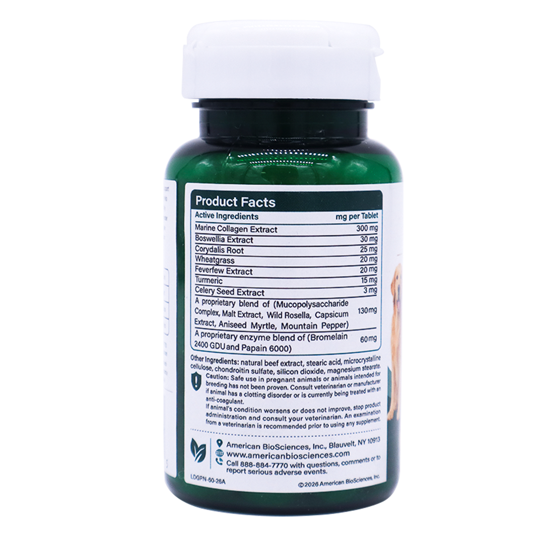 A dark green Dog Gone Pain supplement bottle featuring active ingredients like marine collagen, boswellia, and turmeric, with a dog graphic indicating support for mobility and flexibility.
