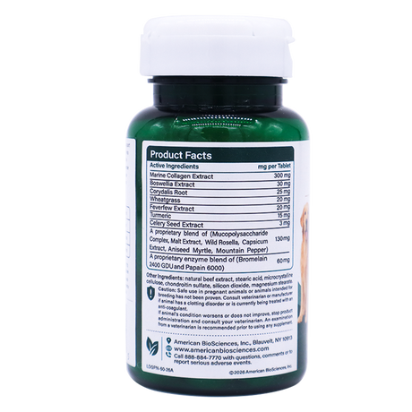 A dark green Dog Gone Pain supplement bottle featuring active ingredients like marine collagen, boswellia, and turmeric, with a dog graphic indicating support for mobility and flexibility.