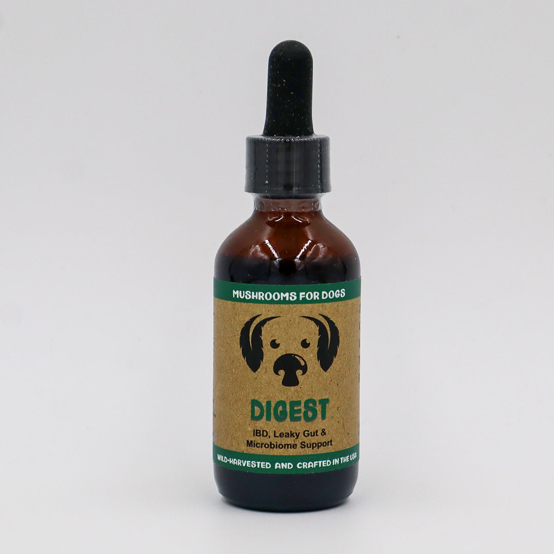 MYCODog | Digest - Mushroom Extract & Adaptogen Tincture
