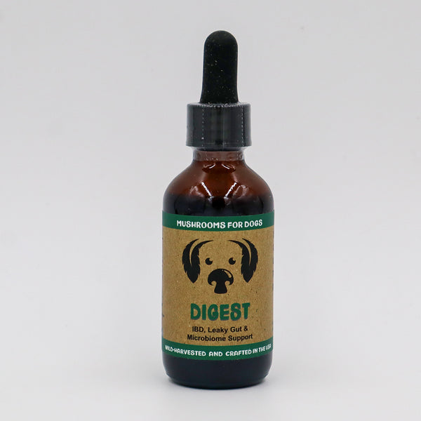 MYCODog | Digest - Mushroom Extract & Adaptogen Tincture – Dr