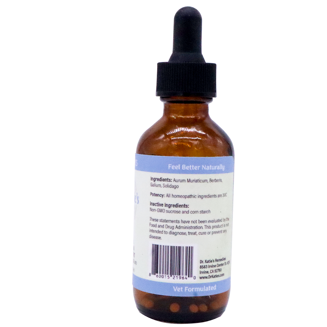 Amber glass dropper bottle of Dr. Katie’s Remedies | Kidney - Renal System Support with a blue label listing homeopathic ingredients and a barcode.