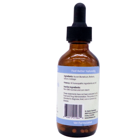 Amber glass dropper bottle of Dr. Katie’s Remedies | Kidney - Renal System Support with a blue label listing homeopathic ingredients and a barcode.