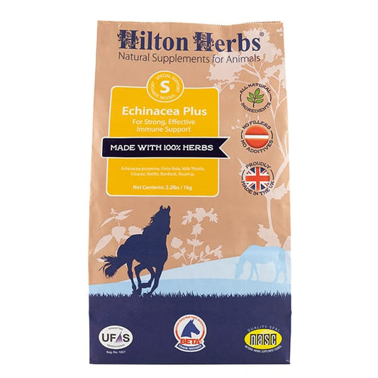 Hilton Herbs | Echinacea Plus - Immune Support for Equines
