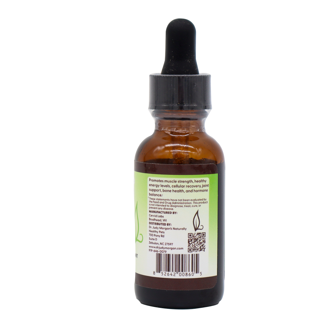 Dr. Judy's Elk Velvet Liquid Extract for Humans - 1 oz.