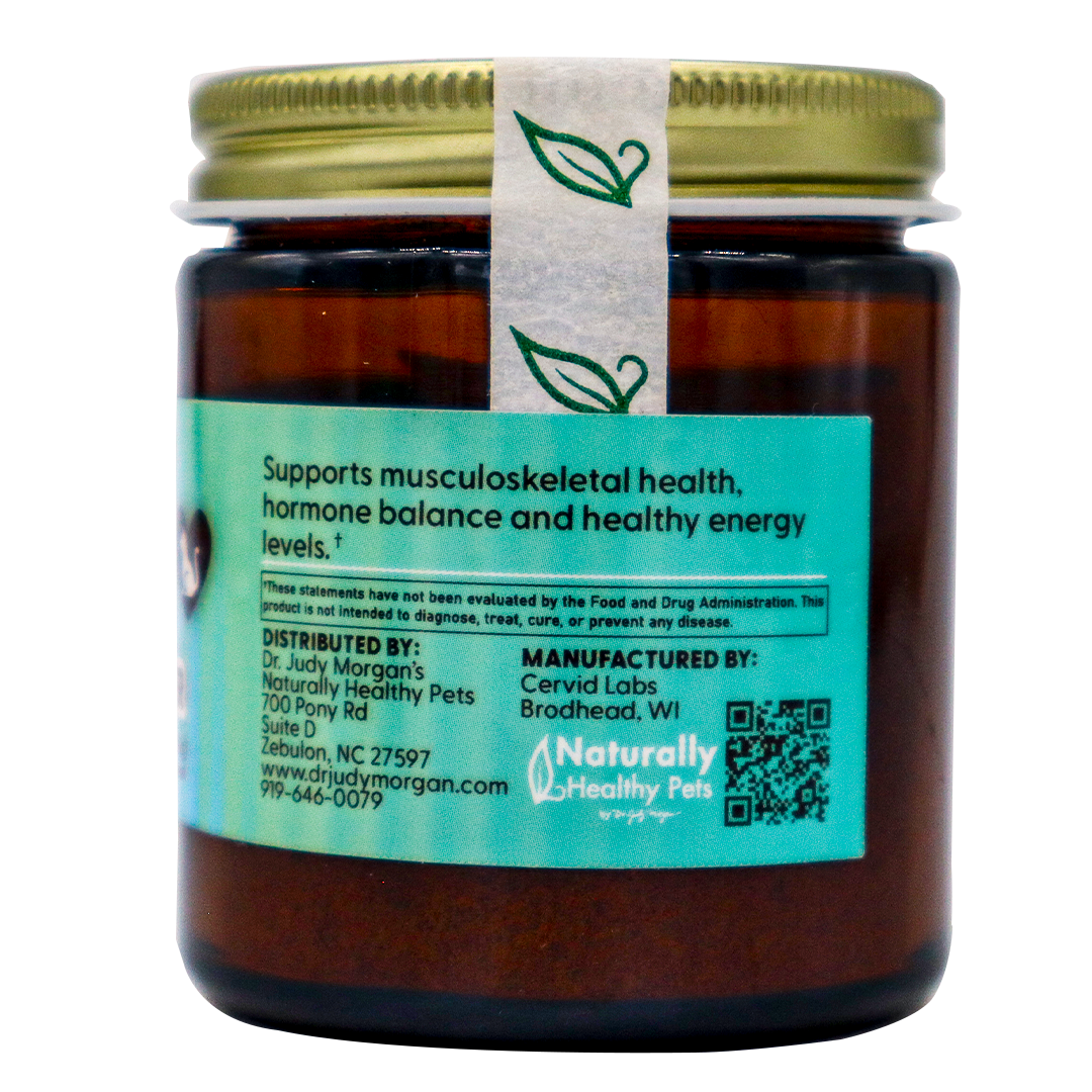 Dr. Judy's Elk Velvet Antler Powder - 30g comes in a brown glass jar with a gold lid and a teal label. The label highlights its musculoskeletal health benefits for dogs and cats, featuring two green leaf icons, a QR code, and details about distribution and manufacturing. Key ingredients include elk velvet antler powder for joint support.