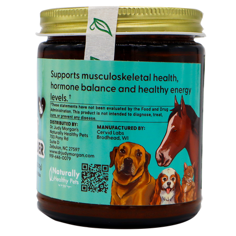 Dr. Judy's Elk Velvet Antler Powder for Equines & Large Dogs – 70g comes in a jar with a turquoise label featuring illustrations of a horse and four dogs. This dog mobility supplement contains elk velvet antler powder to promote musculoskeletal health, hormone balance, energy, and advanced joint support for dogs. Distributed by Dr. Judy Morgan’s Naturally Healthy Pets and manufactured by Cervid Labs.
