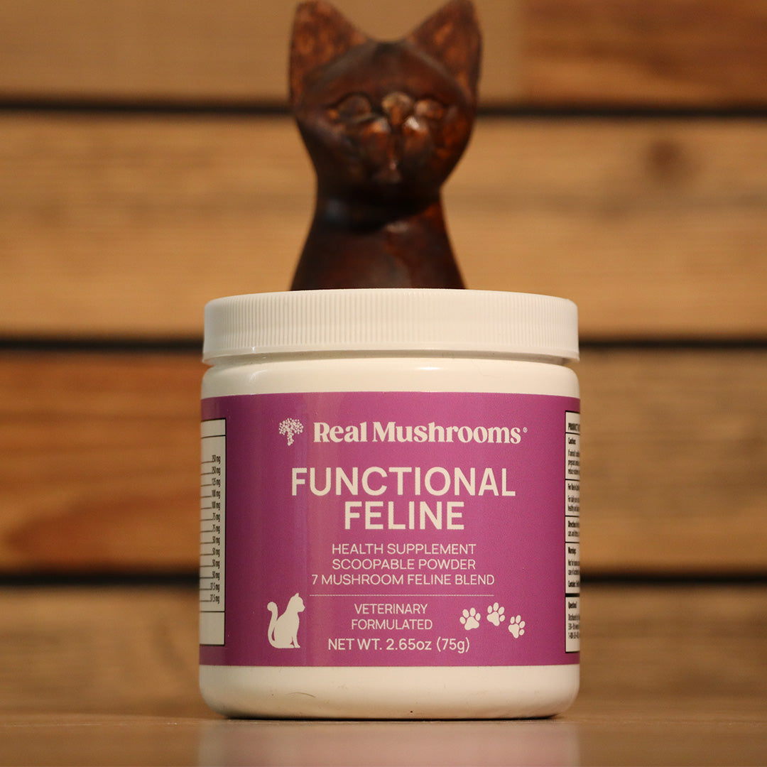 Real Mushrooms | Functional Feline Powder