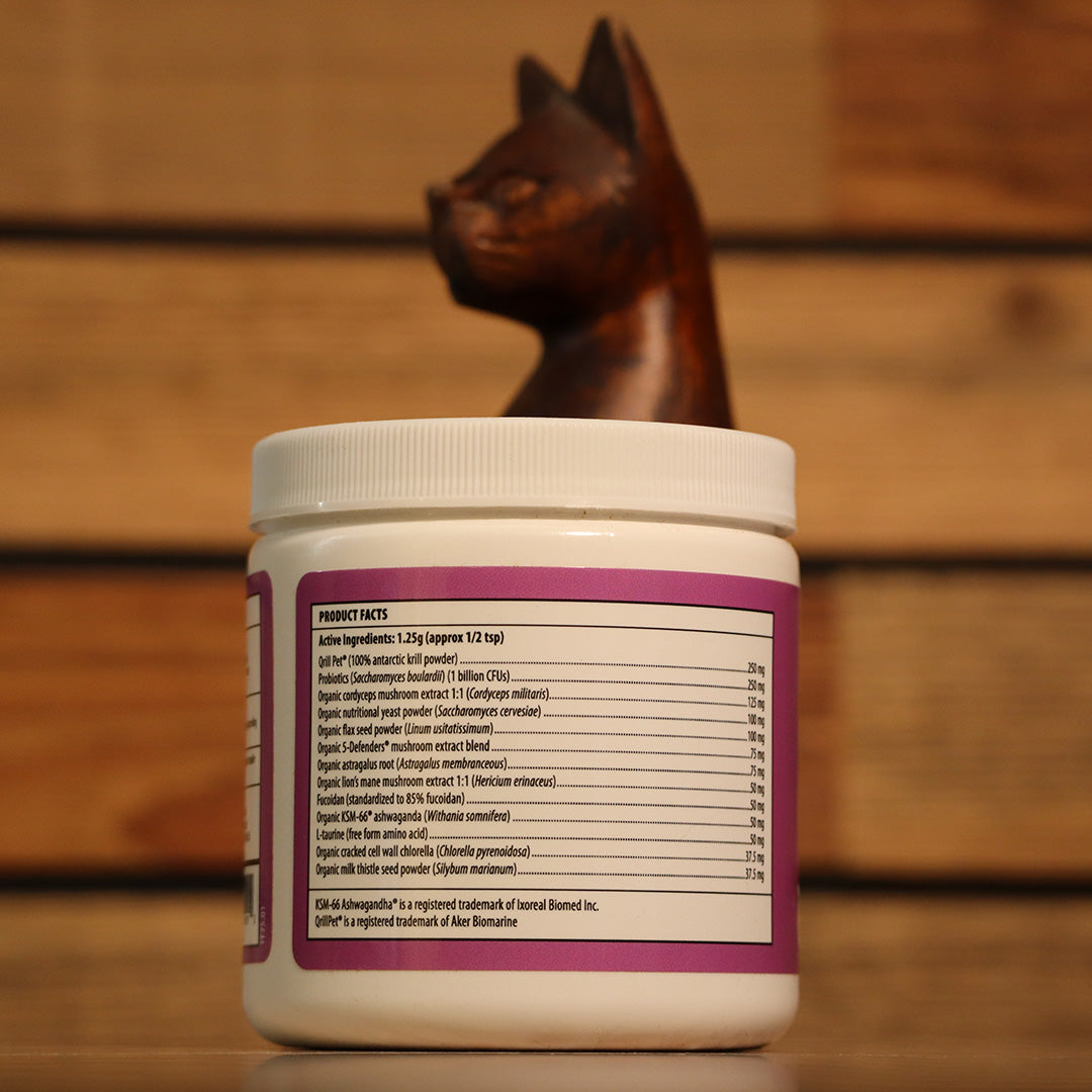 Real Mushrooms | Functional Feline Powder