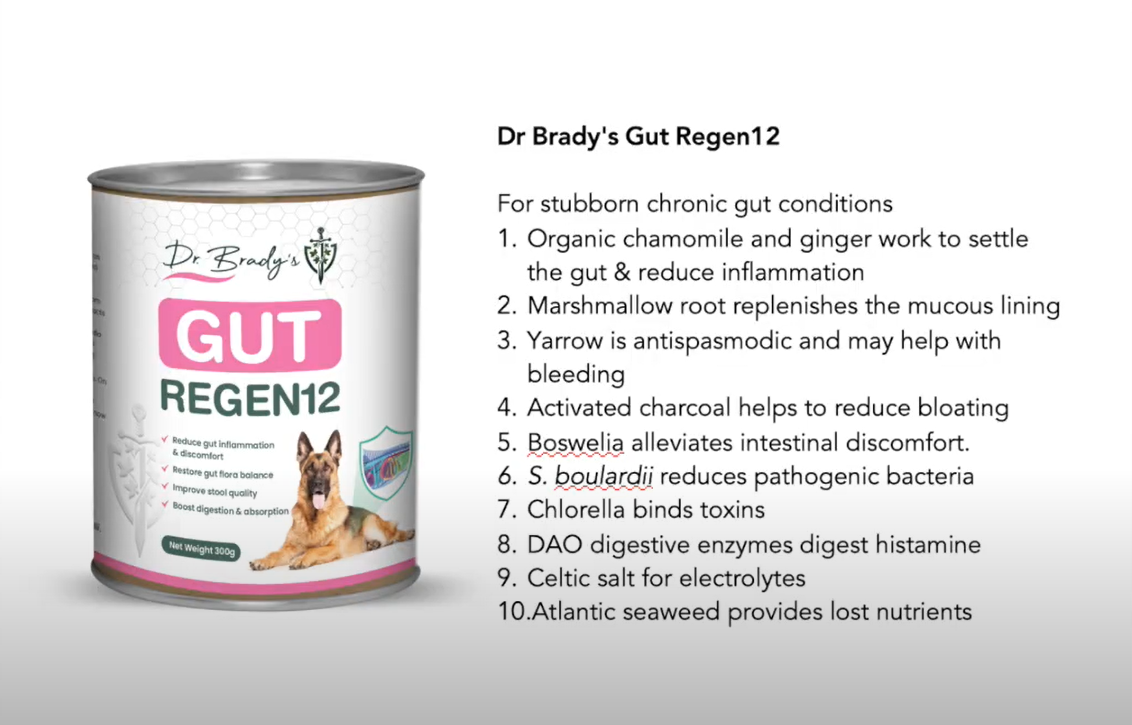 Dr. Brady's Gut Regen12