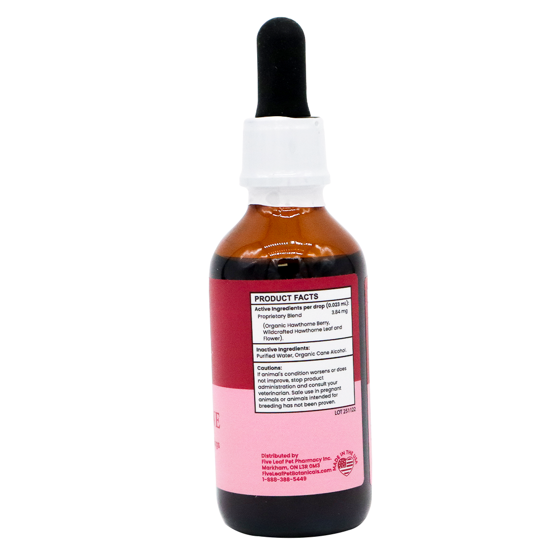 A brown glass dropper bottle with a black dropper cap and white label is shown from the back. The label displays product information and caution details in black text on a white background, indicating that the contents are Five Leaf Botanicals | Hawthorne Tincture, an organic formula crafted from wild harvested hawthorne berries.