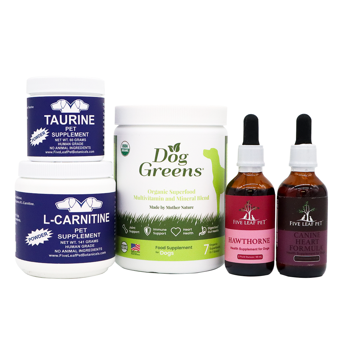 Five Leaf Botanicals | Canine Heart Health Program features five carefully crafted, all-natural heart supplements for dogs: two white tubs labeled Taurine and L-Carnitine, one white jar labeled Dog Greens, and two amber dropper bottles labeled Hawthorne and Canine Heart Formula—all expertly designed to promote herbal dog heart support and optimal canine heart health.