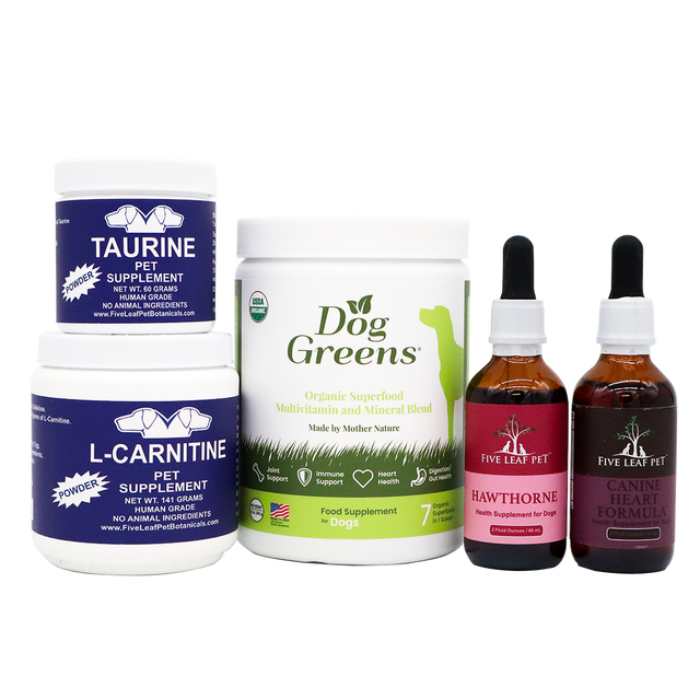 Five Leaf Botanicals | Canine Heart Health Program features five carefully crafted, all-natural heart supplements for dogs: two white tubs labeled Taurine and L-Carnitine, one white jar labeled Dog Greens, and two amber dropper bottles labeled Hawthorne and Canine Heart Formula—all expertly designed to promote herbal dog heart support and optimal canine heart health.