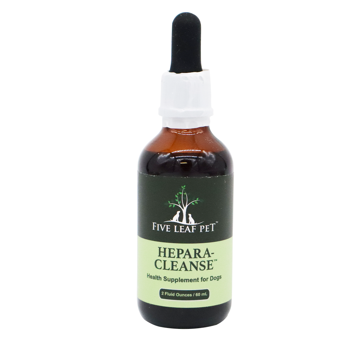 A brown glass dropper bottle labeled Five Leaf Botanicals | Canine Kidney Health Program, 2 Fluid Ounces / 60 mL, with a black dropper cap and green label, stands upright on a white background. This product is designed to provide gentle dog kidney support as part of a holistic approach to canine kidney health.