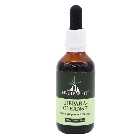 A brown glass dropper bottle labeled Five Leaf Botanicals | Canine Kidney Health Program, 2 Fluid Ounces / 60 mL, with a black dropper cap and green label, stands upright on a white background. This product is designed to provide gentle dog kidney support as part of a holistic approach to canine kidney health.