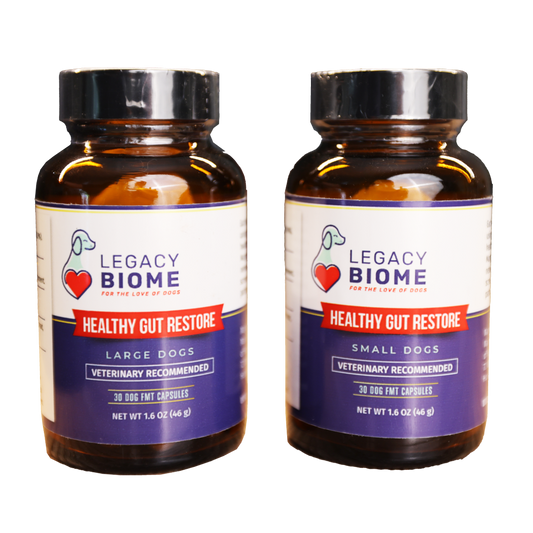 Legacy Biome | Premium FMT Capsules