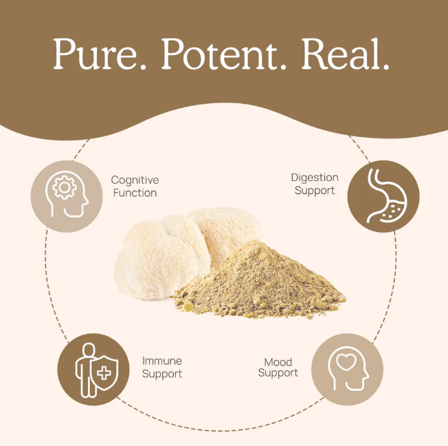 Real Mushrooms Organic Lions Mane Mushroom Powder – 60g