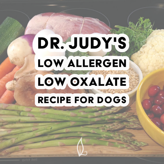 A selection of fresh vegetables and raw meat are arranged on a cutting board, with the text Dr. Judy's Low Allergen Low Oxalate Diet Recipe overlaid in bold white and black lettering.