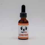 MYCODog | Lion's Mane Tincture