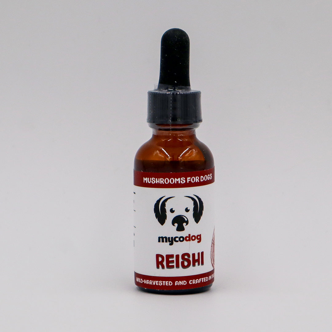 MYCODog | Reishi Tincture