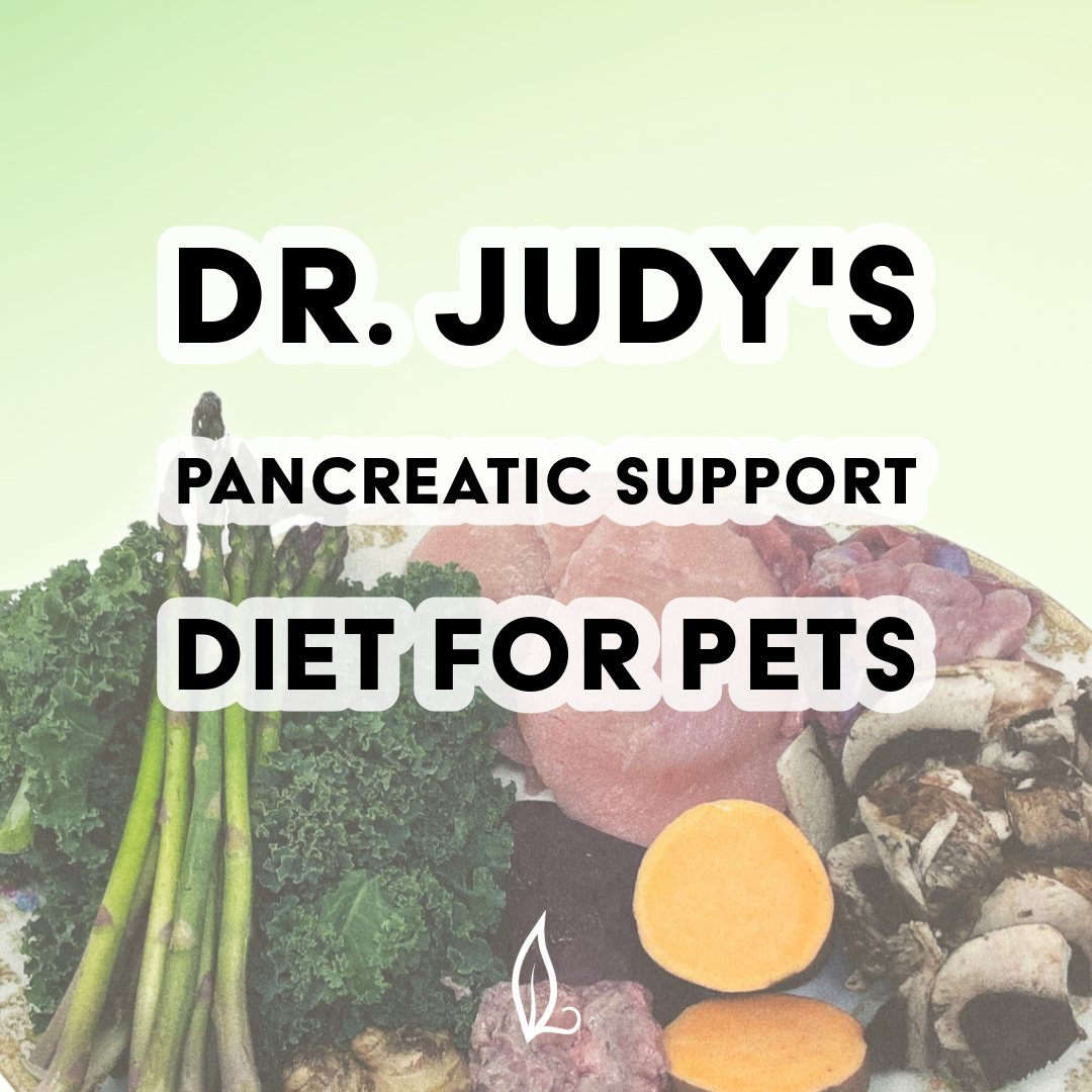 Dr. Judy's Pancreatic Support diet