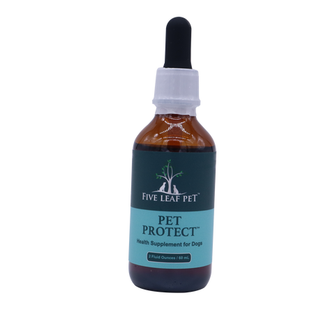 Amber glass dropper bottle of Five Leaf Botanicals | Pet Protect, a health supplement for dogs.
