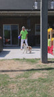 Jolly Ball | Tug-N-Toss