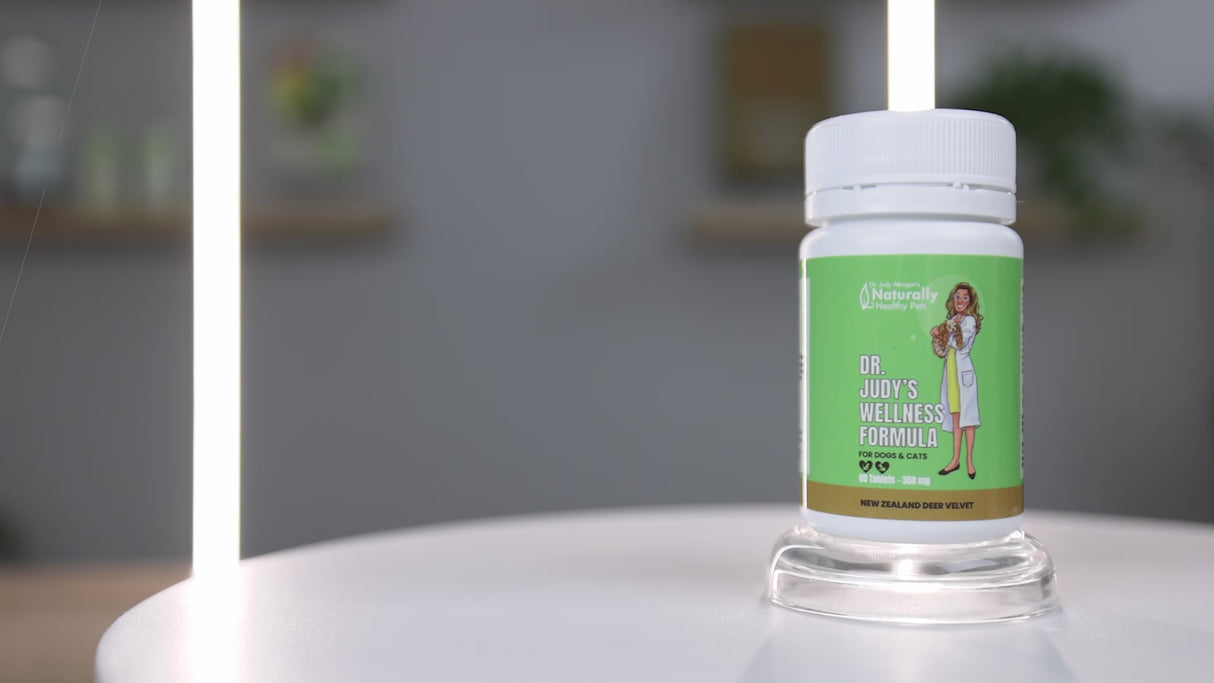 Dr. Judy Morgan's Wellness Formula