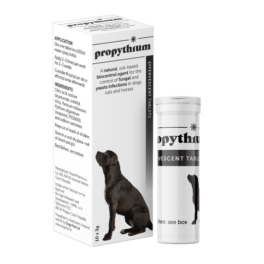 Dogs First | Propythium Effervescent Tablets 10 x 3g