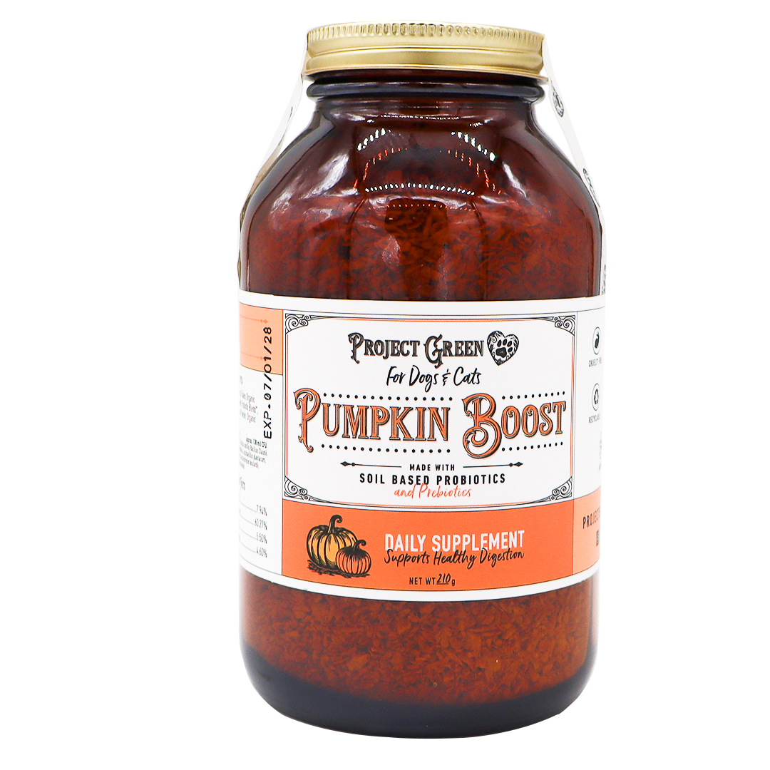 A 210g jar of Project Sudz Pumpkin Boost Digestive Health supplement for dogs and cats, containing soil-based probiotics and prebiotics to support pet digestive health. The jar features a gold lid and an orange and white label with a pumpkin graphic.
