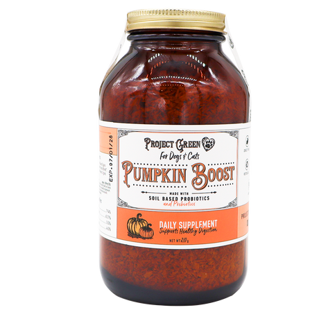 A 210g jar of Project Sudz Pumpkin Boost Digestive Health supplement for dogs and cats, containing soil-based probiotics and prebiotics to support pet digestive health. The jar features a gold lid and an orange and white label with a pumpkin graphic.