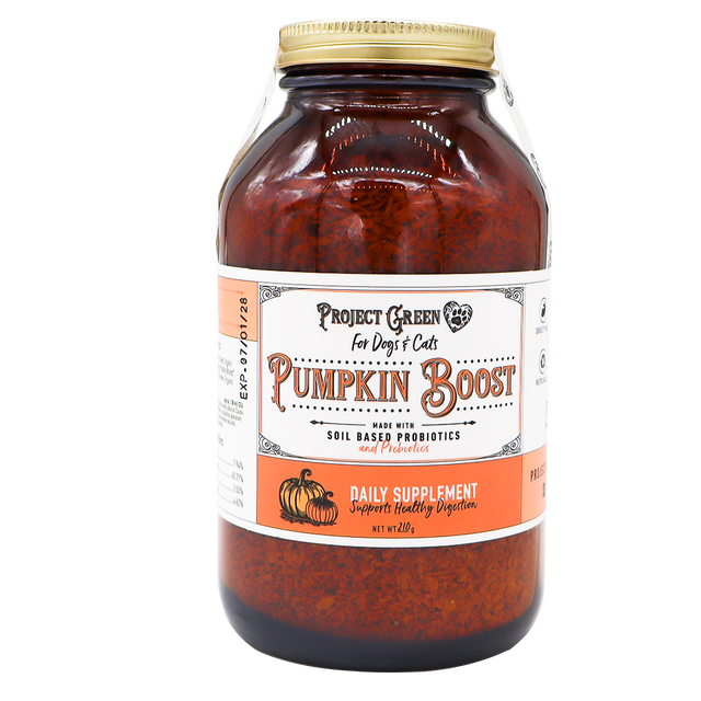 A 210g jar of Project Sudz Pumpkin Boost Digestive Health supplement for dogs and cats, containing soil-based probiotics and prebiotics to support pet digestive health. The jar features a gold lid and an orange and white label with a pumpkin graphic.