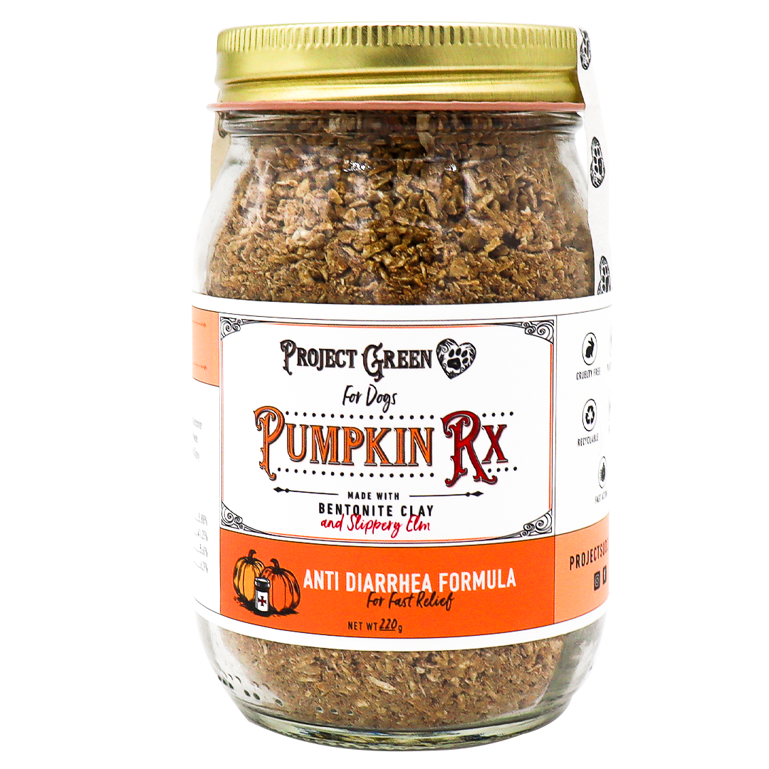 A glass jar labeled “Project Sudz | Pumpkin Rx GI Support for Dogs - 220g,” featuring an anti-diarrhea formula with bentonite clay and slippery elm. Designed to provide healthy gut support for dogs, the label is orange and white with black and red text.