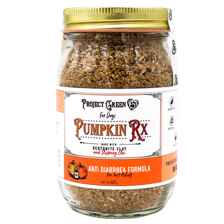 A glass jar labeled “Project Sudz | Pumpkin Rx GI Support for Dogs - 220g,” featuring an anti-diarrhea formula with bentonite clay and slippery elm. Designed to provide healthy gut support for dogs, the label is orange and white with black and red text.