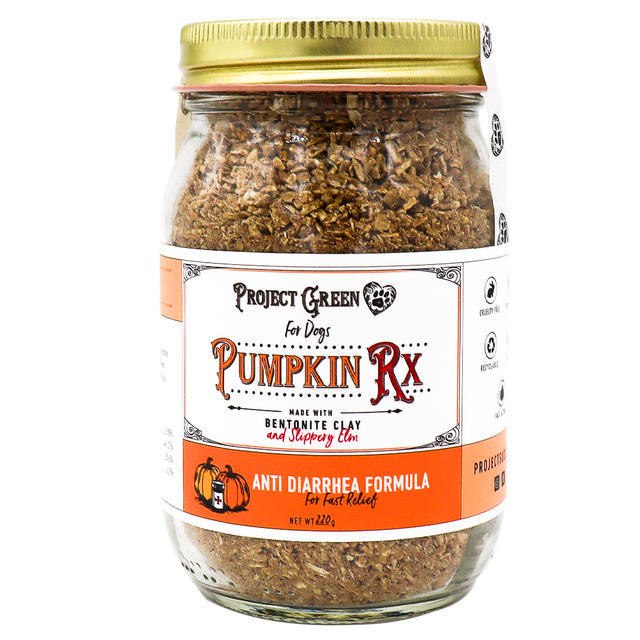 A glass jar labeled “Project Sudz | Pumpkin Rx GI Support for Dogs - 220g,” featuring an anti-diarrhea formula with bentonite clay and slippery elm. Designed to provide healthy gut support for dogs, the label is orange and white with black and red text.