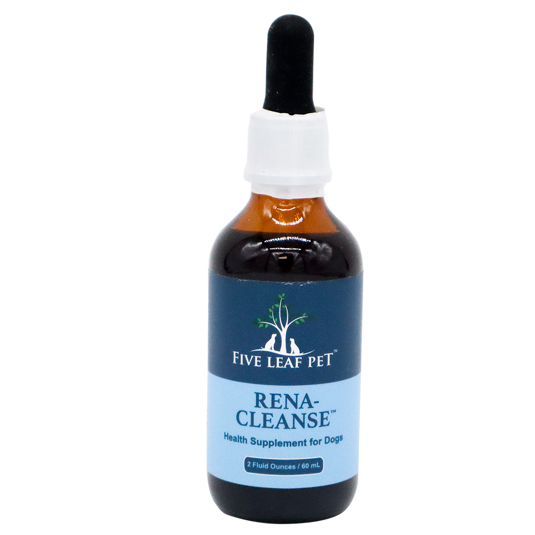 A brown glass dropper bottle labeled Five Leaf Botanicals | Canine Kidney Health Program, Herbal Kidney Supplement and Health Supplement for Dogs, 2 Fluid Ounces / 60 mL, designed to support canine kidney health, against a white background.