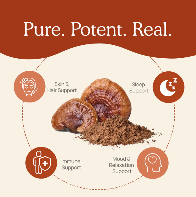 Real Mushrooms | Organic Reishi Mushroom Powder – 45g