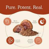Real Mushrooms | Organic Reishi Mushroom Powder – 45g