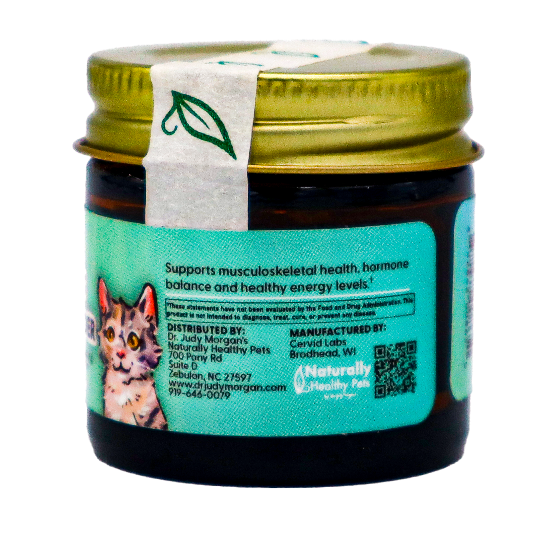 A small glass jar with a gold lid and a green leaf seal contains Dr. Judy's Elk Velvet Antler Powder for Cats (7g). The label displays a cat illustration, highlights the product’s health benefits including joint support, and includes contact information, a QR code, and distribution details.