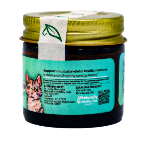 A small glass jar with a gold lid and a green leaf seal contains Dr. Judy's Elk Velvet Antler Powder for Cats (7g). The label displays a cat illustration, highlights the product’s health benefits including joint support, and includes contact information, a QR code, and distribution details.