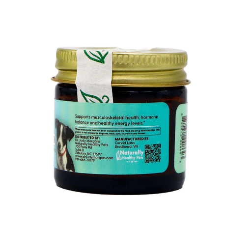 A small amber jar of Dr. Judy's Elk Velvet Antler Powder for Small Dogs (7g) with a gold lid and a blue label displaying information about pet health benefits such as joint support for dogs, as well as a barcode and a photo of two dogs. A white seal with a green leaf design runs across the lid.