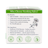 A product box for The Animal Bar | Soothing Salve for Dogs & Cats - 2oz lists benefits such as hydration and features ingredients like sunflower oil, chamomile, plantain, mullein, and vitamin E in an eco-friendly glass jar. The box is decorated with green eco symbols.