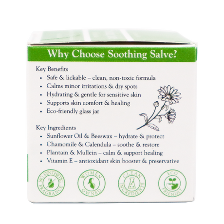A product box for The Animal Bar | Soothing Salve for Dogs & Cats - 2oz lists benefits such as hydration and features ingredients like sunflower oil, chamomile, plantain, mullein, and vitamin E in an eco-friendly glass jar. The box is decorated with green eco symbols.