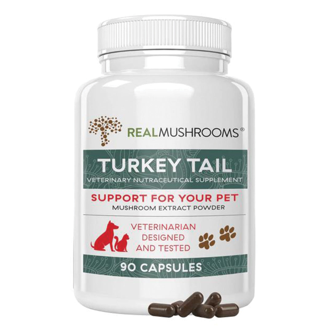 Real Mushrooms | Organic Turkey Tail Capsules - 90 Count