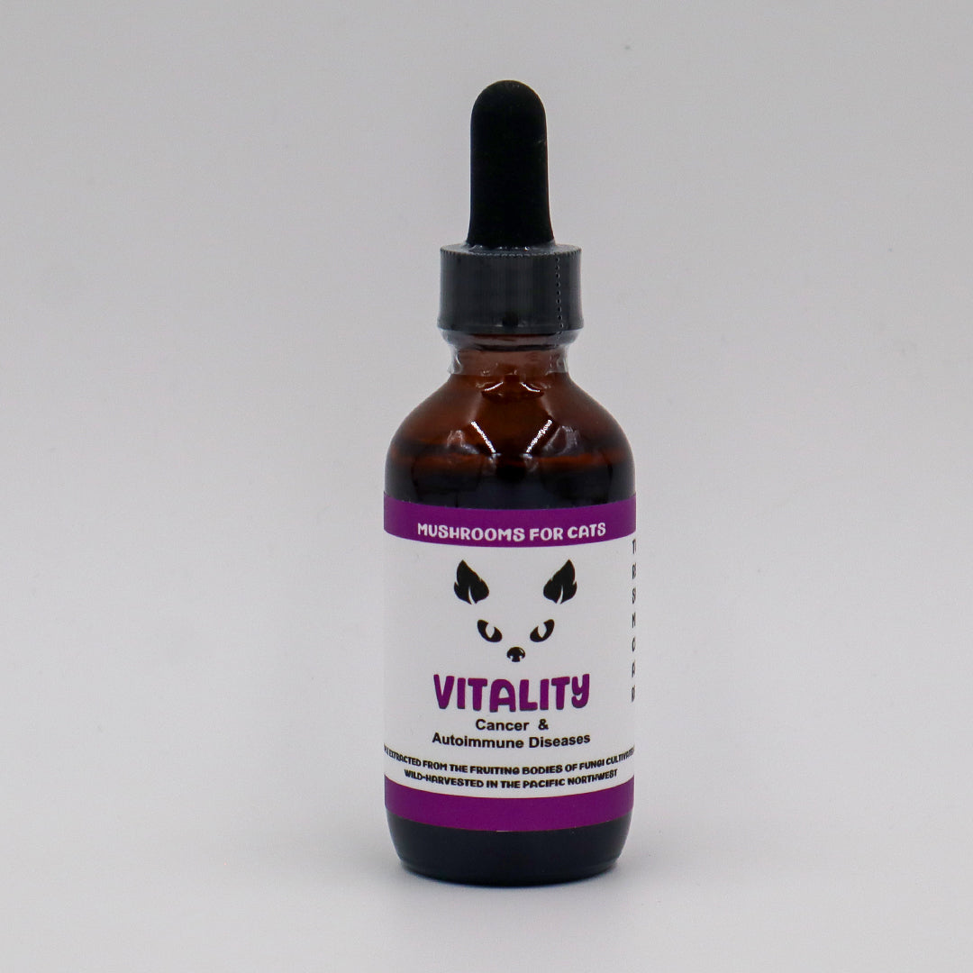 MycoCat | Vitality - Mushroom Extract & Adaptogen Tincture