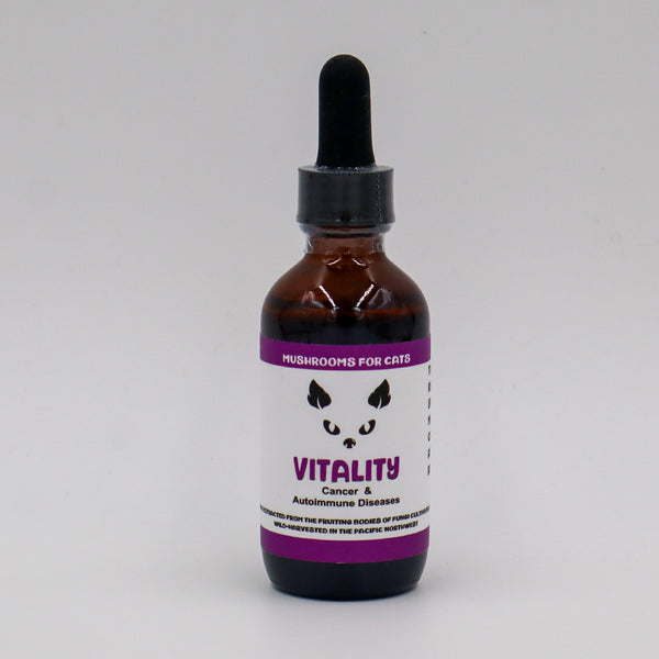 MycoCat | Vitality - Mushroom Extract & Adaptogen Tincture – Dr