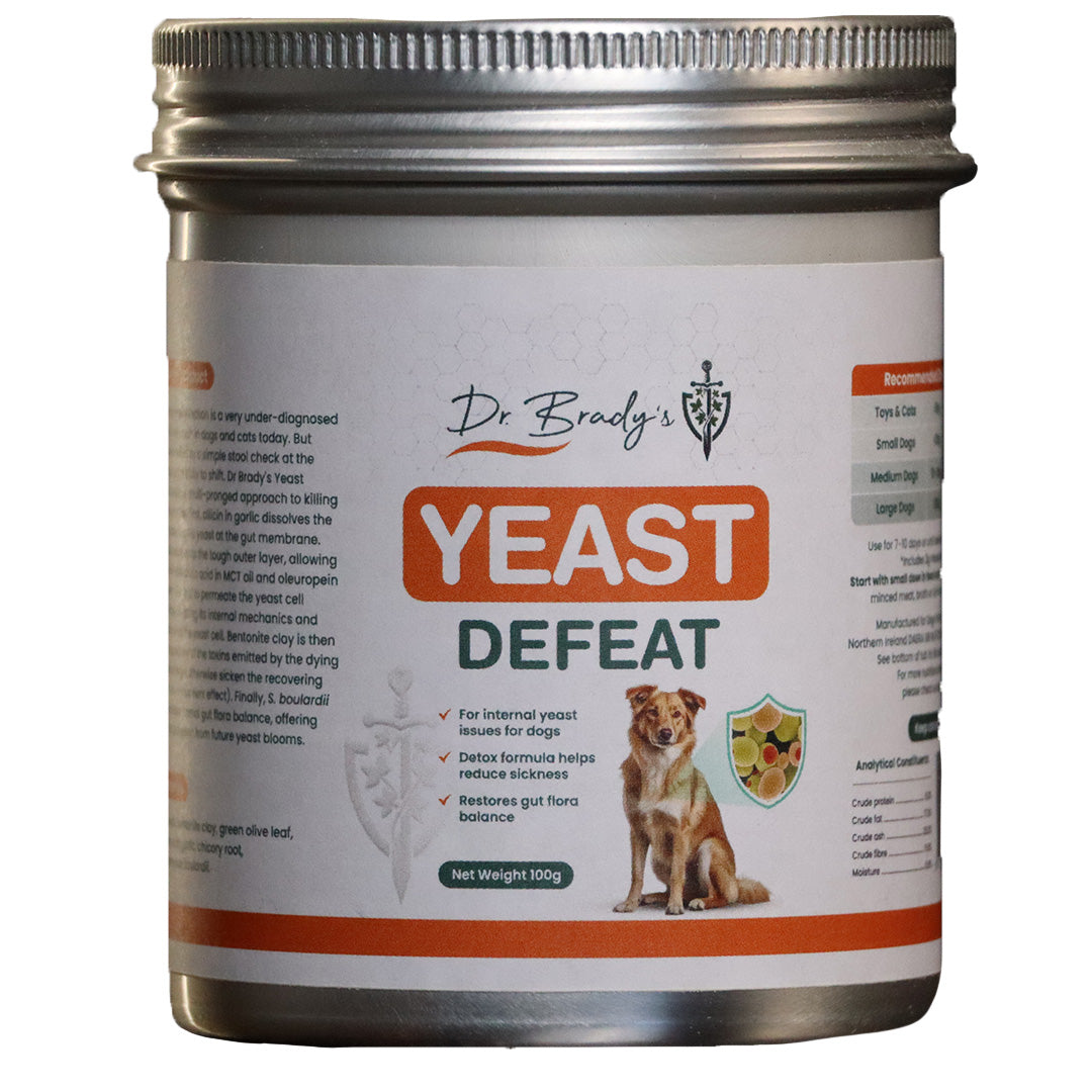 Dr. Brady's Yeast Defeat